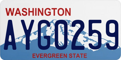 WA license plate AYG0259