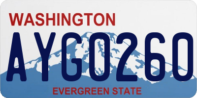 WA license plate AYG0260