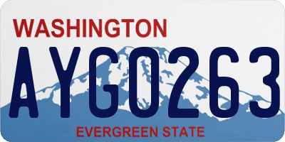 WA license plate AYG0263