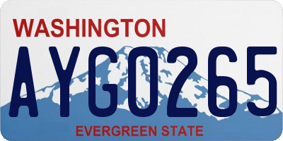 WA license plate AYG0265