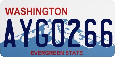 WA license plate AYG0266