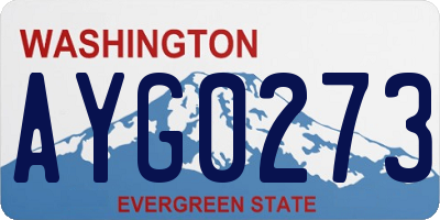 WA license plate AYG0273