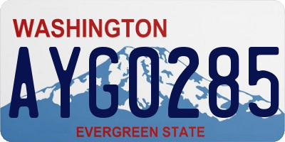 WA license plate AYG0285