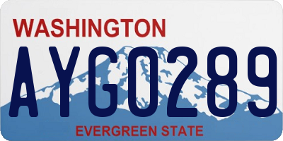 WA license plate AYG0289