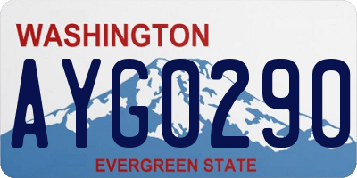 WA license plate AYG0290