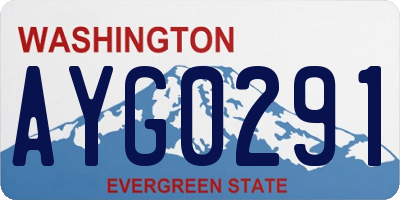 WA license plate AYG0291