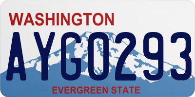 WA license plate AYG0293