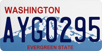 WA license plate AYG0295
