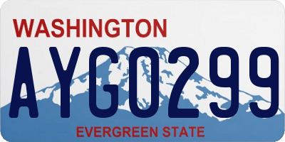 WA license plate AYG0299