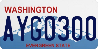 WA license plate AYG0300