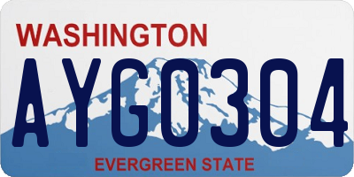 WA license plate AYG0304