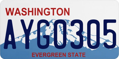 WA license plate AYG0305