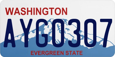 WA license plate AYG0307