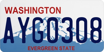 WA license plate AYG0308