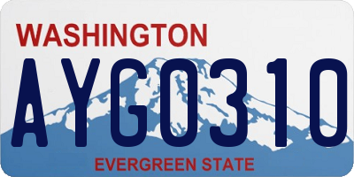 WA license plate AYG0310