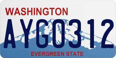WA license plate AYG0312