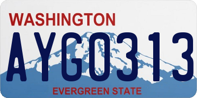 WA license plate AYG0313