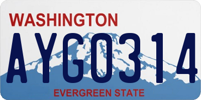 WA license plate AYG0314