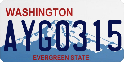 WA license plate AYG0315