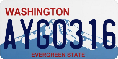 WA license plate AYG0316