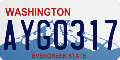 WA license plate AYG0317