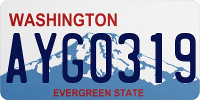 WA license plate AYG0319