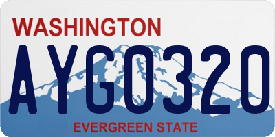 WA license plate AYG0320