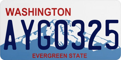 WA license plate AYG0325