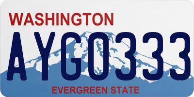 WA license plate AYG0333