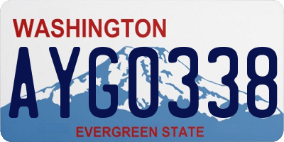 WA license plate AYG0338