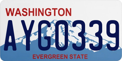 WA license plate AYG0339