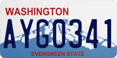 WA license plate AYG0341