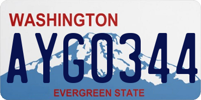 WA license plate AYG0344