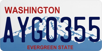 WA license plate AYG0355