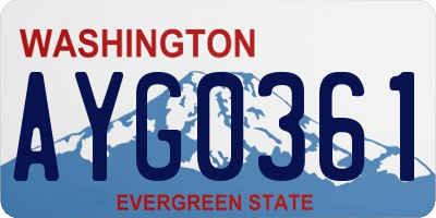 WA license plate AYG0361