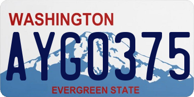 WA license plate AYG0375