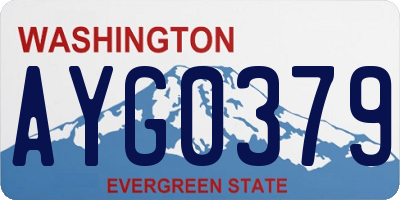 WA license plate AYG0379