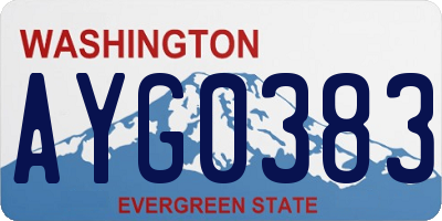 WA license plate AYG0383