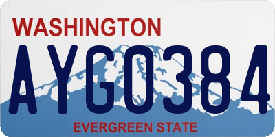 WA license plate AYG0384