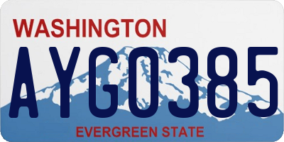WA license plate AYG0385