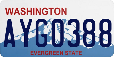 WA license plate AYG0388