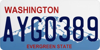WA license plate AYG0389