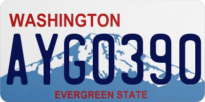 WA license plate AYG0390