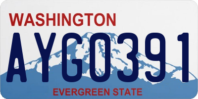 WA license plate AYG0391
