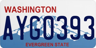 WA license plate AYG0393