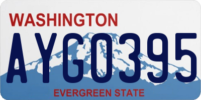 WA license plate AYG0395