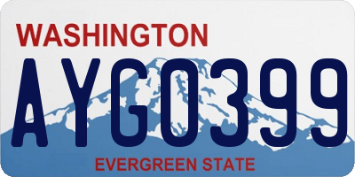 WA license plate AYG0399