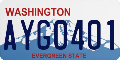WA license plate AYG0401