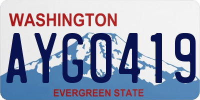 WA license plate AYG0419