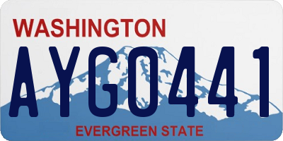 WA license plate AYG0441